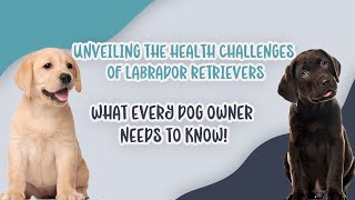 Unveiling the Health Challenges of Labrador Retrievers: What Every Dog Owner Needs to Know!