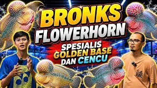 Download lagu LAGI CARI LOUHAN? YUK MAMPIR KE KIOS BRONKS FLOWERHORN AJA! | PASAR IKAN HIAS GEMBRONG