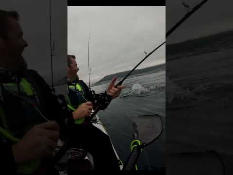 Remember to pay your fish TAX!