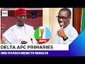 Ned Nwoko Rejects Delta APC Primary Results