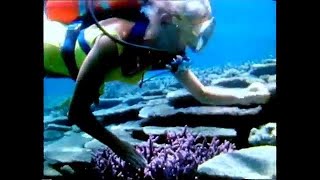 Vintage Scuba Diving Australia 1960S