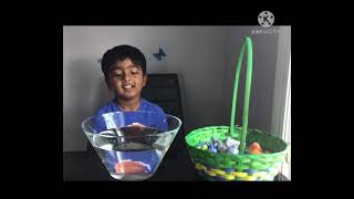 Famous Sink or Float Challenge!Science Experiment For Kids. Wealth