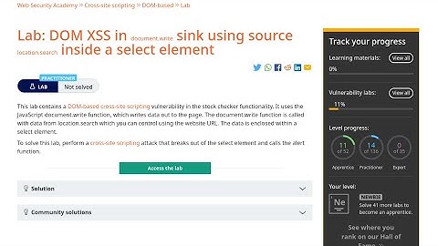 Web Security Academy | XSS | 10 - DOM Document Write Sink Inside Select Element
