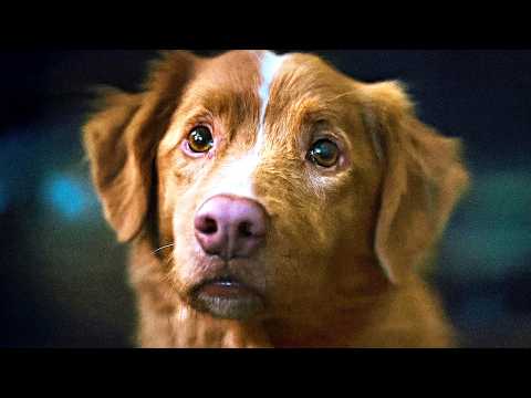 Хороший Мальчик - Русский Трейлер (4K Субтитры, 2025)