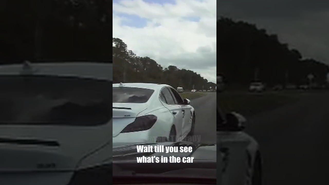 He Ran From a Tint Stop… Then Got Crushed #police