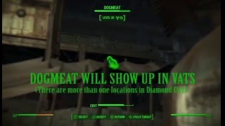 Fallout 4 lost dogmeat (not in sanctuary.)