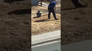 Guy cleans his front lawn with vacuum cleaner