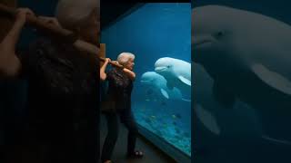 My Grandma Got An Hammer In Aquarium.