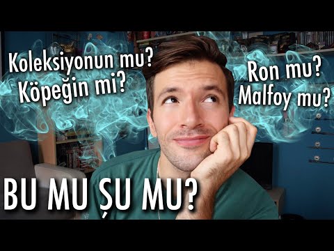 HARRY POTTER BU MU? ŞU MU?  - KOLEKSİYONUN MU, KÖPEĞİN Mİ?