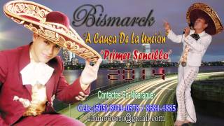 Bismarck El Niño de Oro - A Causa De La Unción (Audio Oficial). chords