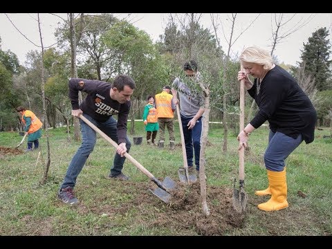 Video: Parisi është Një Qytet 