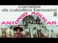 Antonio Aguilar - El Caballo Bayo (Visualizador Oficial)