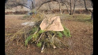 Slash Disposal and Pile Burning