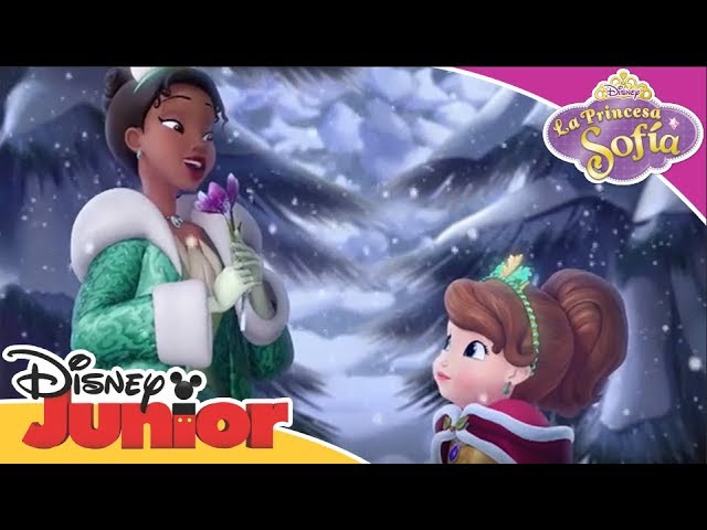 La Princesa Sofía: Momentos Mágicos - Un Regalo para Cedric | Disney Junior  Oficial - YouTube