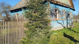 видео: Уй 50 соток масофада туриб олди юртдошимиз картинка: Уй 50 соток масофада туриб олди юртдошимиз
