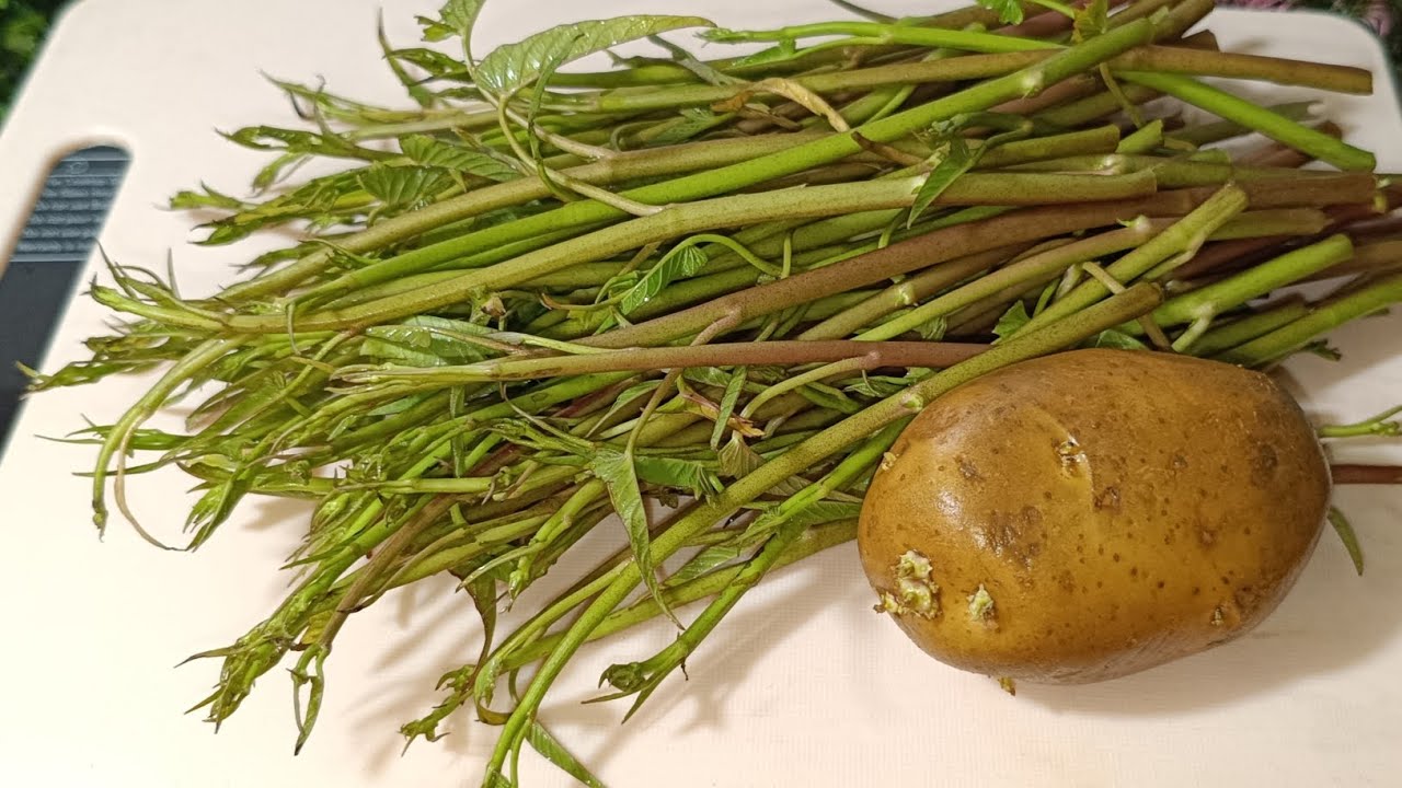 কলমি শাক এইভাবে একবার খেয়ে দেখুন স্বাদ মুখে লেগে থাকবে, সবাই আঙুল চেটেপুটে খাবে । kolmi shak recipe