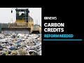 Industry bosses making money off carbon credits say system needs reform | ABC News