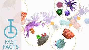 IOU YouTube: How do signaling pathways work together?