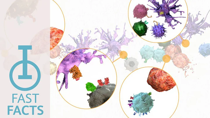 IOU YouTube: How do signaling pathways work together?