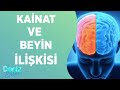 Kainat ve Beyin İlişkisi | Deniz Erten