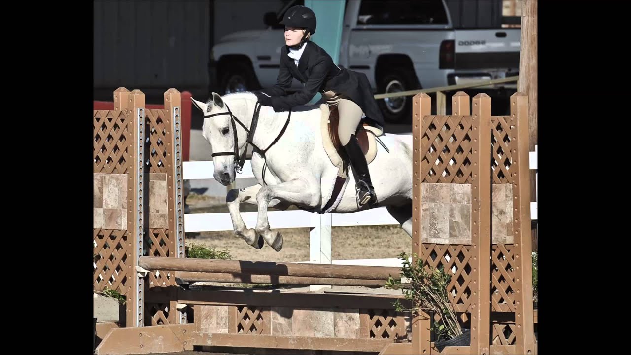 Triple Play Large Pony for sale YouTube