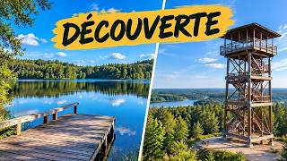 ? LIVE ?  ?? Un lac magnifique et une tour panoramique en Lettonie !