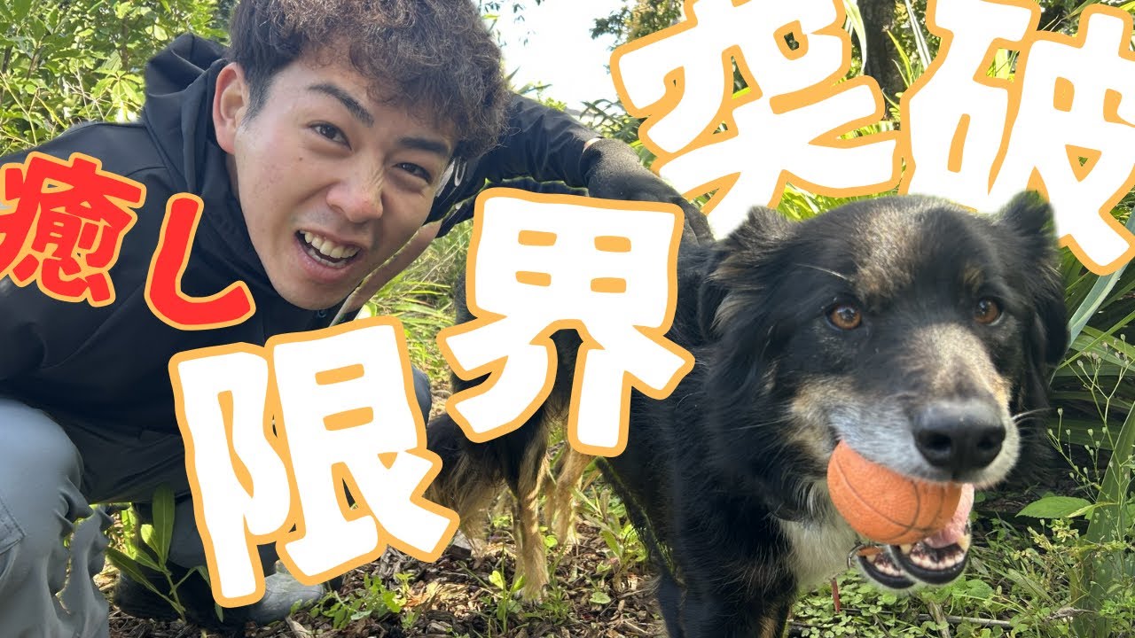 NZの田舎暮らし、正直ここまで最高とは…【WWOOF】　Honestly, I never thought that rural life in NZ  would be this good...