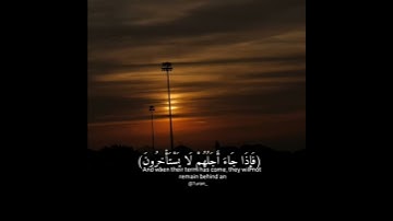 ما تيسر من "سورة النحل"الايه(٦١)بصوت عبدالرحن مسعد،حالات واتساب"قرآن كريم"🌹