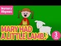 ♬Mary Had A Little Lamb〈英語の歌〉