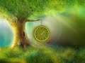 Time 4 Hemp - 10/03/14