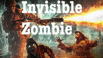 Invisible Zombie + Unexpected God Mode !? - World at War Shi No Numa Glitch