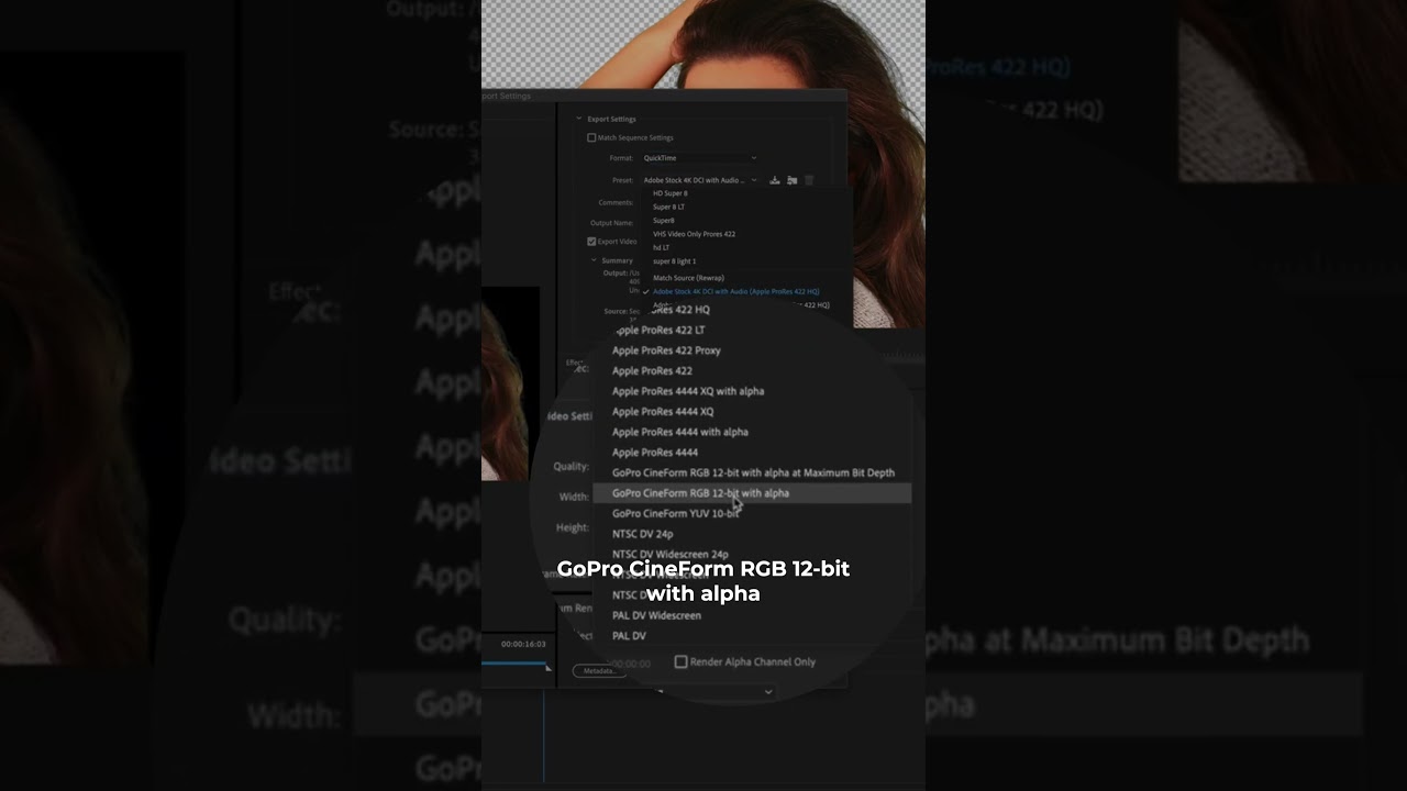 How to Export Transparent Background Videos in Adobe Premiere Pro CC