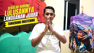 Sekolah Burung TANGERANG MASTERING,😍Lulusannya Langganan Juara Lomba #kicaumania #birdschannel