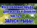 Изготовление пруда для осетра и форели (часть 9) ЗАПУСК РЫБЫ