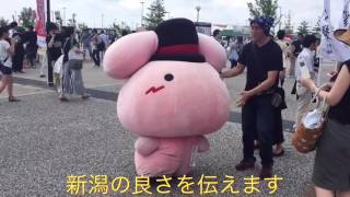 AKB総選挙 at 新潟 会場風景のみ #音楽専門学校