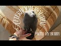 A Cosy Afternoon with My Bunny 🐰 & Tips for Brushing Him | My Visual Diaries Episode 11