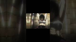 Nothing Just Mikasas Abs