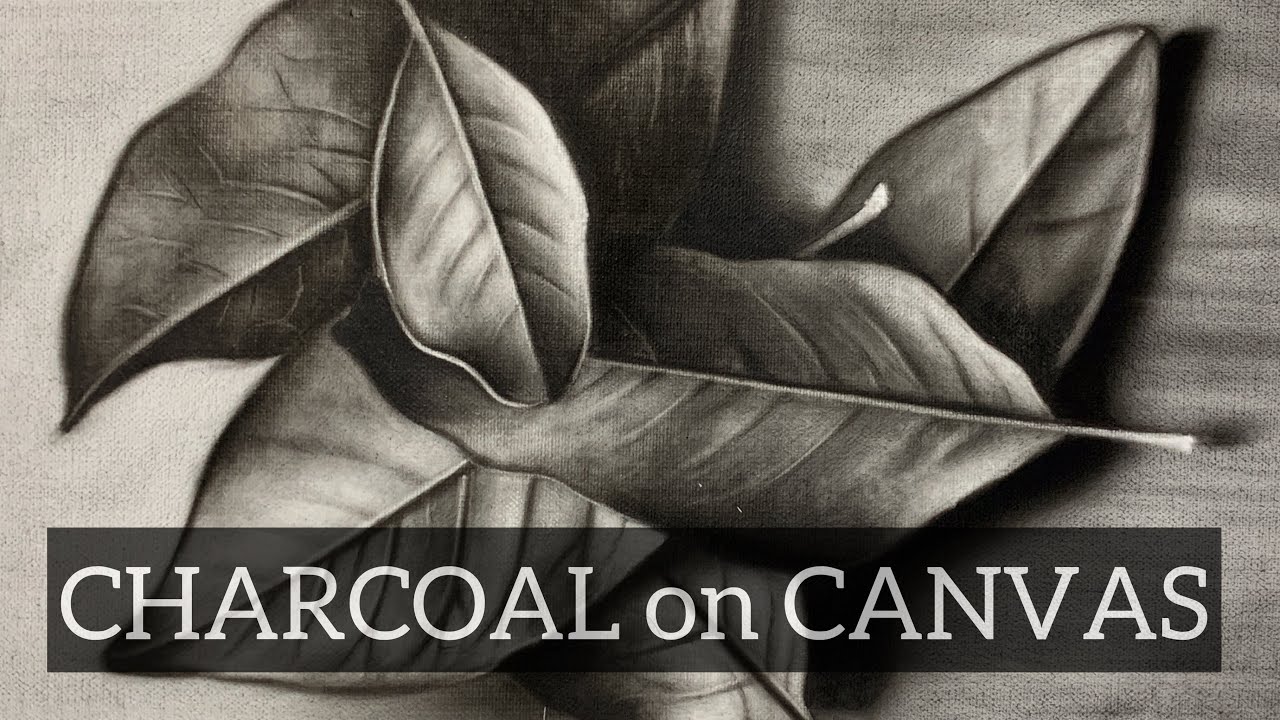 CHARCOAL on CANVAS(process video) YouTube