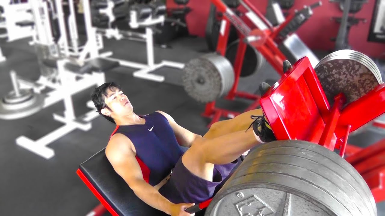 【筋トレ】脚のトレーニング説明動画「レッグプレス」(大腿四頭筋、ハムストリングス、大臀筋) YouTube 【筋トレ】脚のトレーニング説明動画「レッグプレス」(大腿四頭筋、ハムストリングス、大臀筋) YouTube