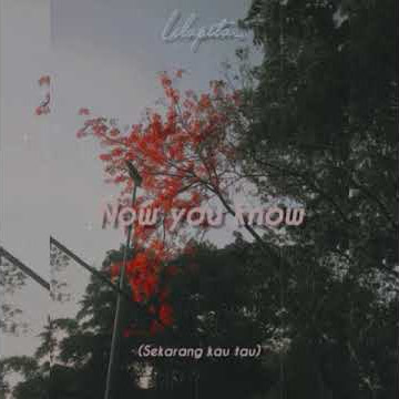 Video status WA Keren!! Bad Liar dengan Lirik