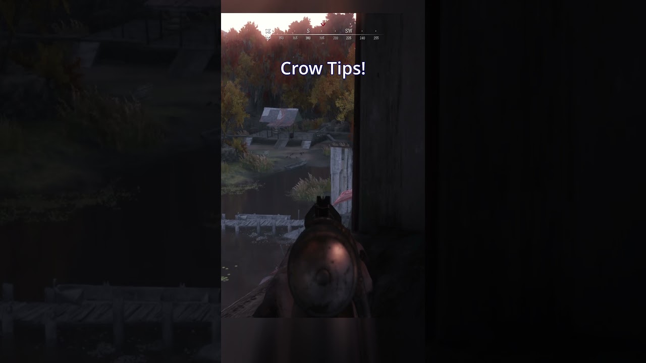 Crow Tip! | Hunt Showdown Tips and Tricks