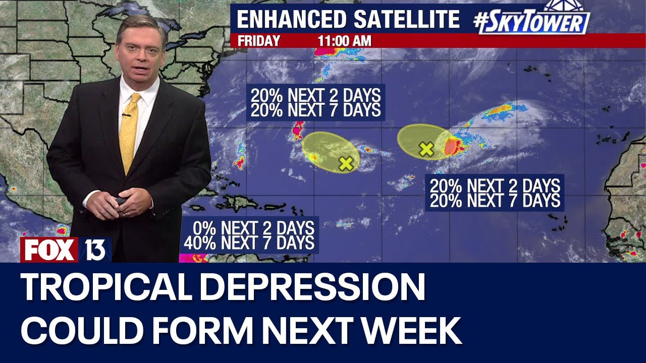 Potential tropical system could become depression in Gulf of Mexico ...