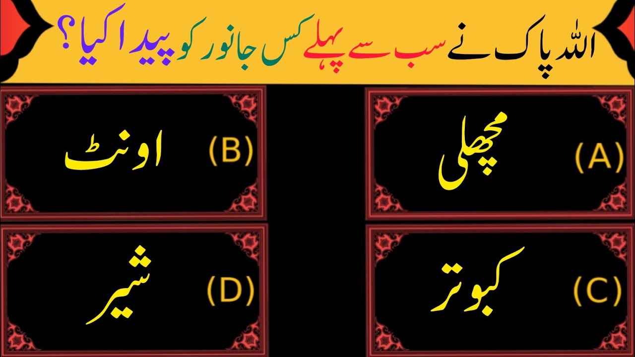 Amazing Riddles | Islamic General Knowledge | Questions Answers | Quiz ...