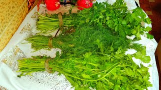 شوف الجديد طريقة حفظ خضرة المحشى في الثلاجة(30 يوم )بنفس اللون والطعم