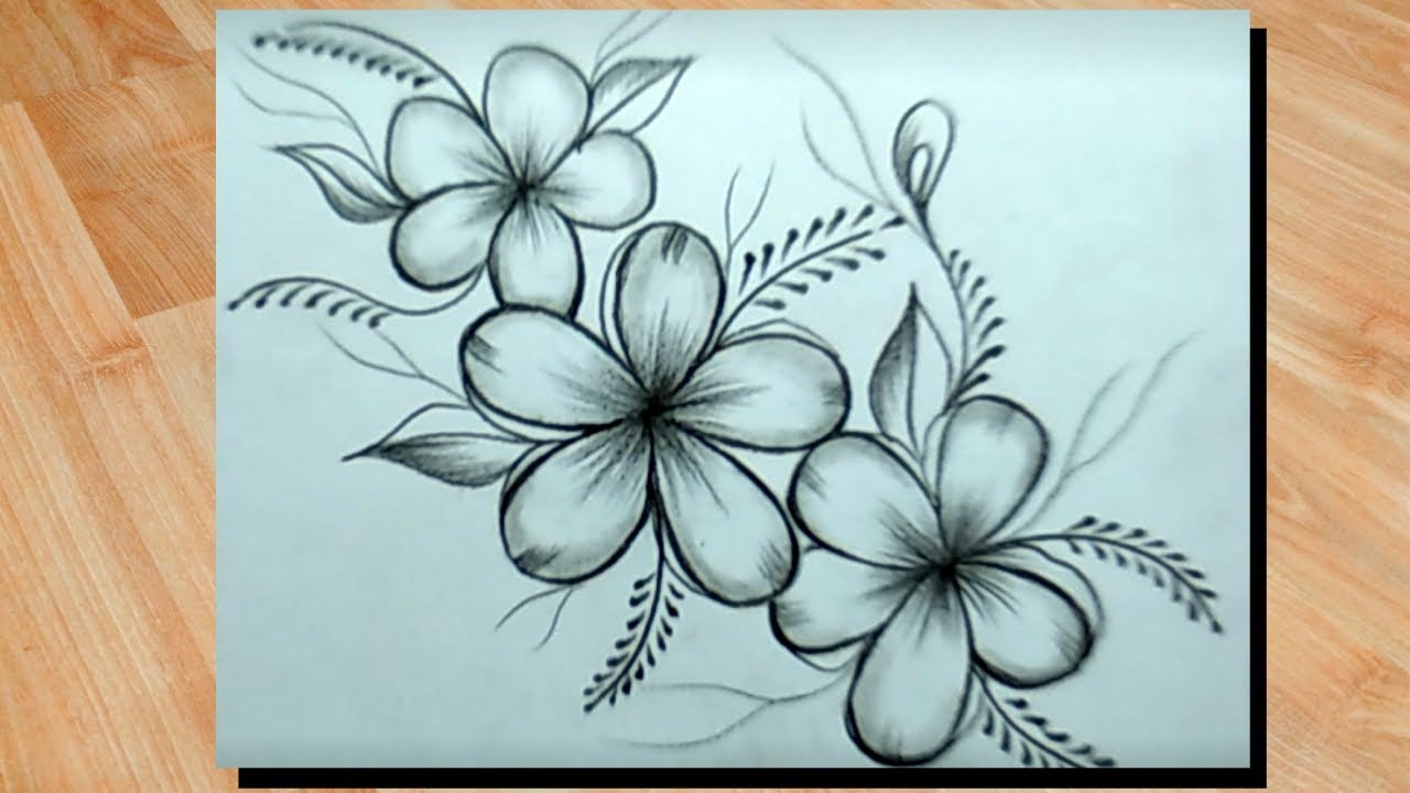 Cool Pencil Drawing A Beautiful Flower