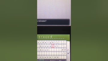 Pokemon Y: Shiny Eevee