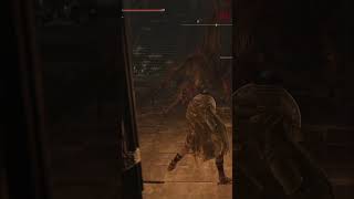 The Classic Roll in Elden Ring Shadow of Erdtreen #eldenringmage #eldenringdlc