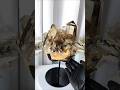 Smoky Quartz Citrine 10.25lb Crystal Cluster with Stand | Abundance | Prosperity | Positivity