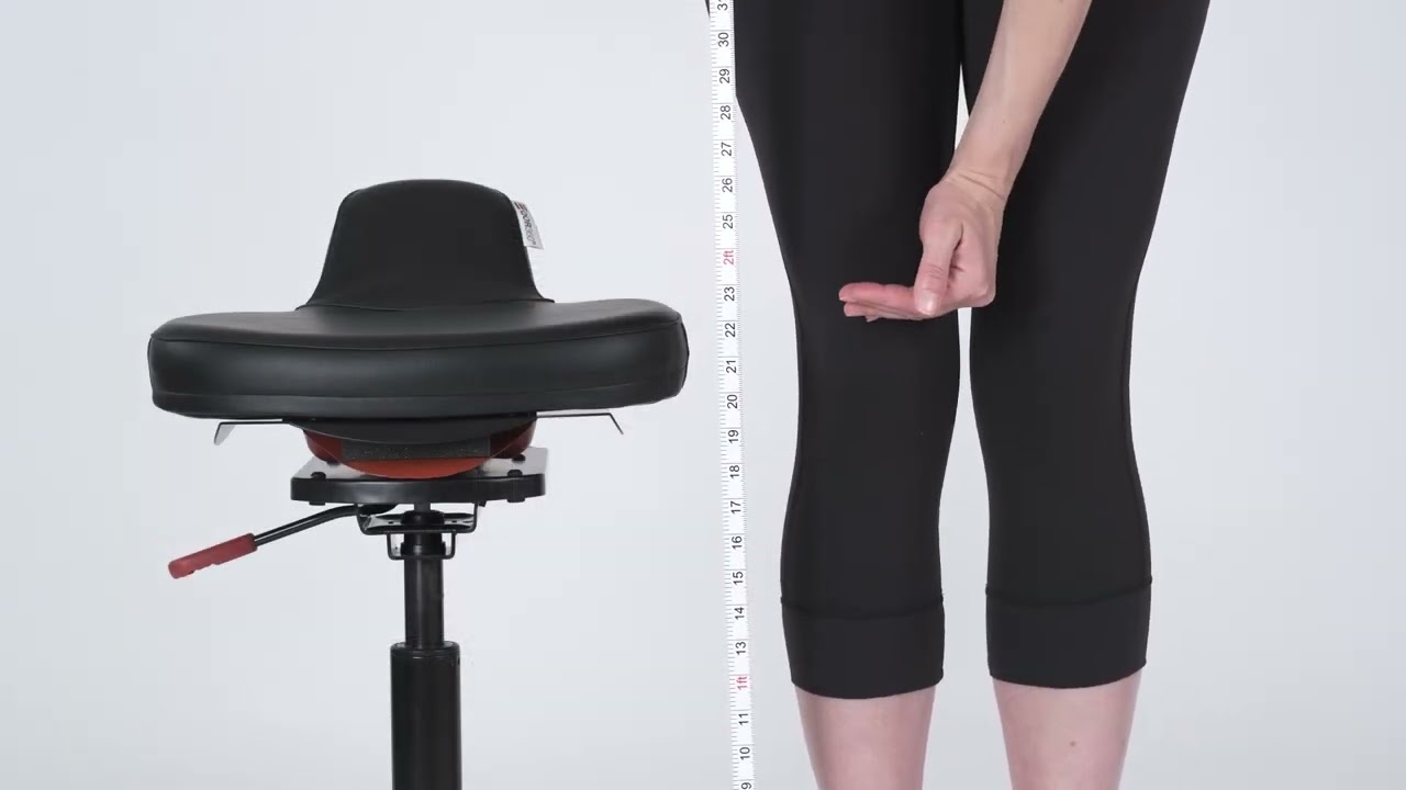 Lumbar Support - QOR360