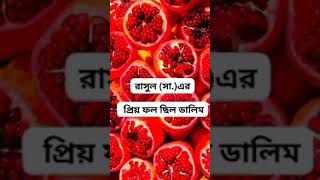 Only Allah Only Islam